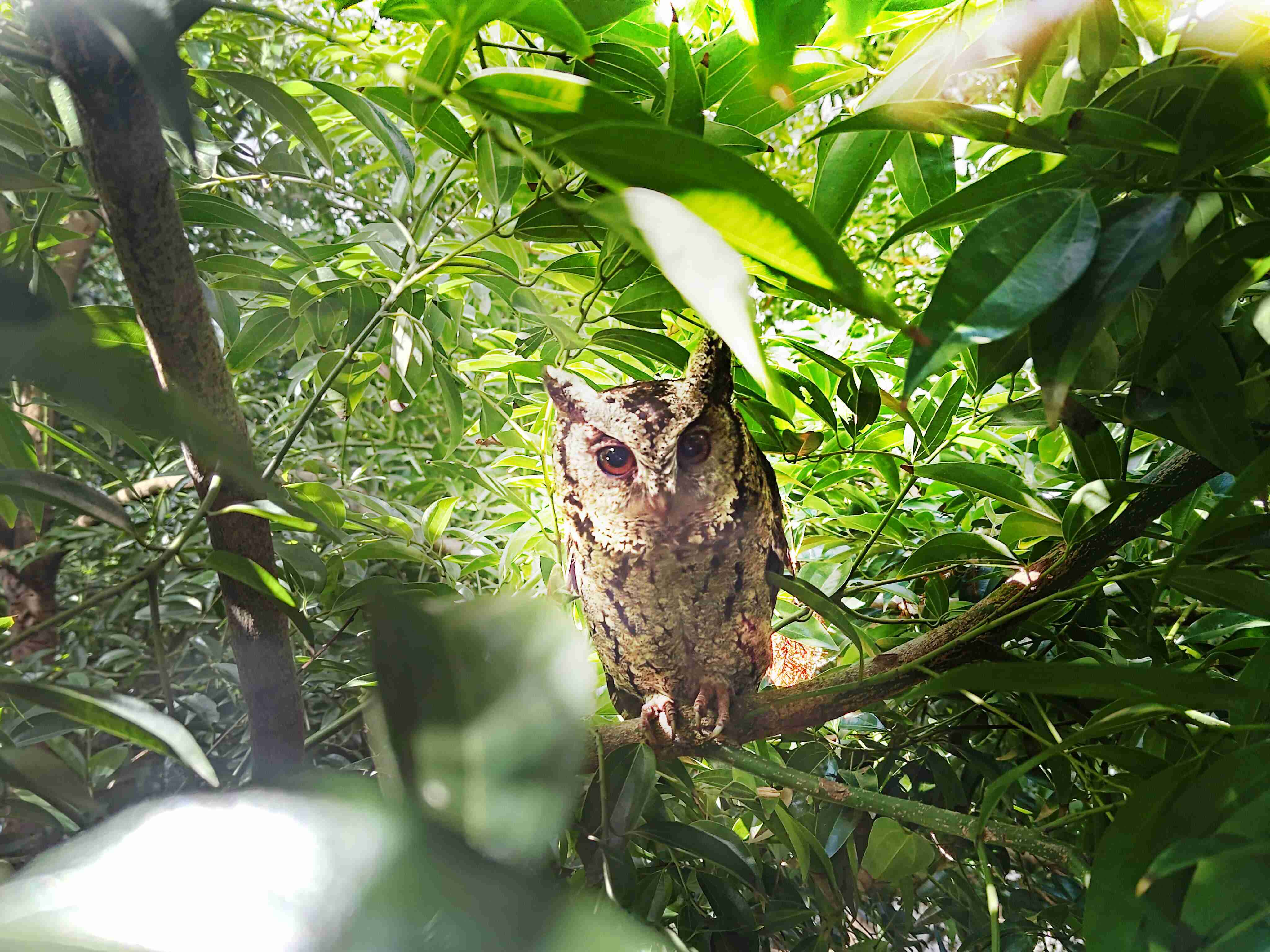 人生就是博致力提倡净零绿生活，，16年以来在全球各厂区植树逾百万棵，，，，造就各厂区树木蔚然成林，，，犹如森林工厂，，，，成为许多生物的栖息地